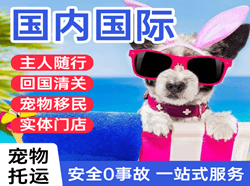 长白山空运代理国际宠物托运 【国